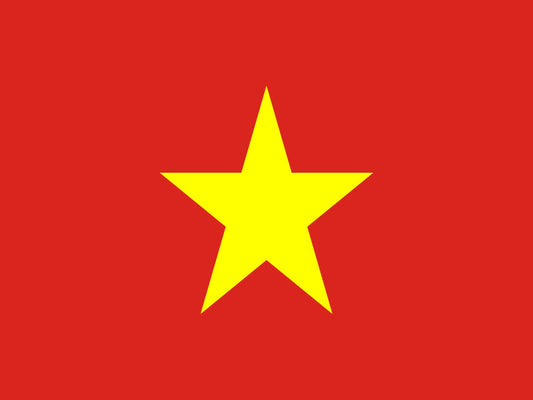 越南 eSIM