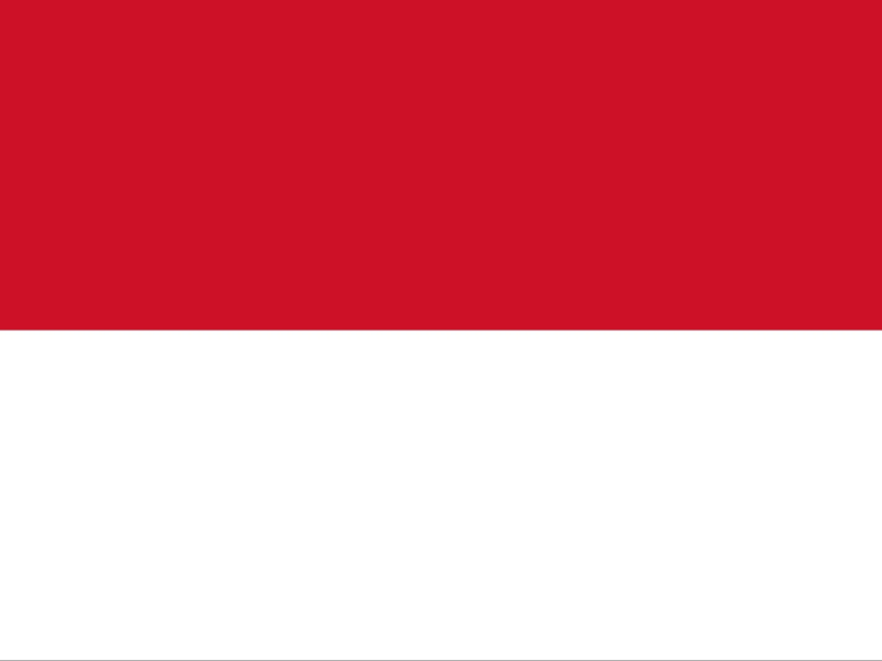 Indonesia esim