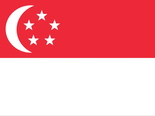 Singapore eSIM